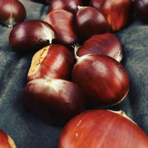 Sawyer Rd Chestnuts 5kg